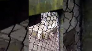 Крым продаётся дом. Уварово