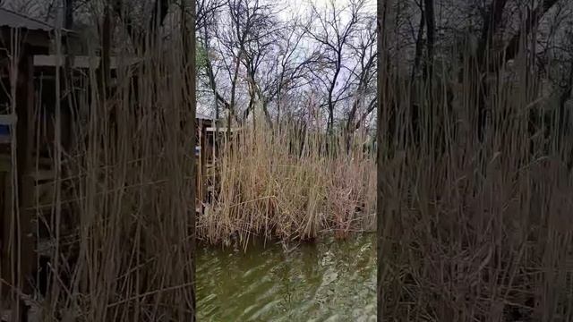 База "Южная" Краснодарский край, Динской район, станица Старомышастовская, ул. Южная, 28?