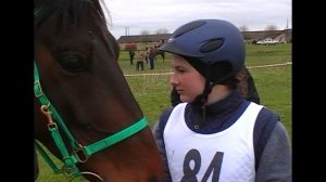 И летит табун над седой травой. Зеленокумск 2011