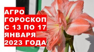 Агрогороскоп с 13 по 17 января 2023 года. Агрогороскоп з 13 по 17 січня 2023 року