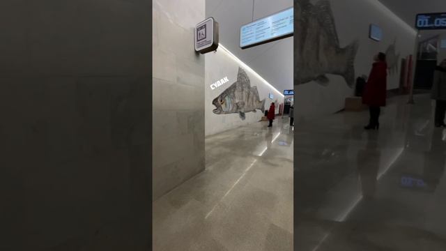 Рыбак рыбака видит издалека