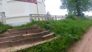 Деревня Трестино Фировский район.