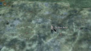 SkyrimSE Soul Cairn texture flicker issue