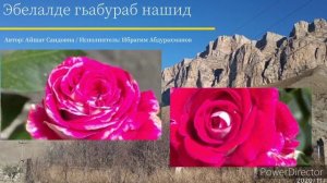 АВАРСКИЙ НАШИД про маму 2021