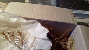 Обработка вощины.Багульник болотный.Профилактика Варроатоза.