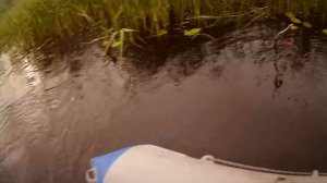 Рыбалка на разливах Шекснинского водохранилища. Часть 3.#102