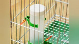 Рекомендации по сбору клетки для попугая.