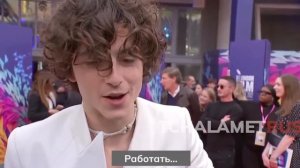 Перевод мини-интервью Тимоти Шаламе с красной дорожки Bones and All #LFF 08.10.22
