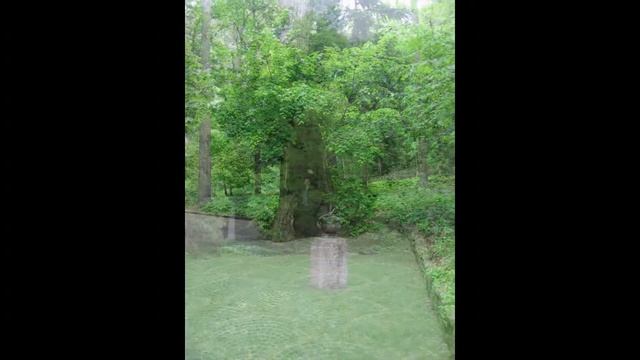 Умань. Софиевский дендропарк. фотоаппарат Canon и смартфон Fly смотреть онлайн