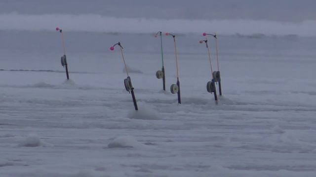 Прыщ на берша. смотреть онлайн