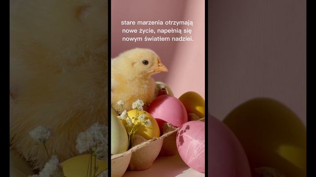 Католическое поздравление с Пасхой 2023 #пасха #wesolychswiat #easter