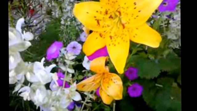 Small flower garden.