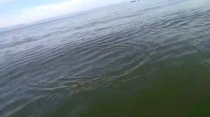 Ловим хариус летом на Байкале