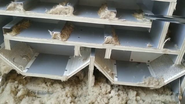 не запускайте свои подушке до такого состояния? иначе ( ПЕРОЕД) съест весь пух ?? смотреть онлайн