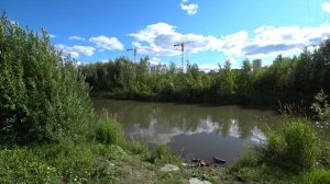 День ВМФ в парке. Гуляю под дождём. Безруков на съемочной площадке.