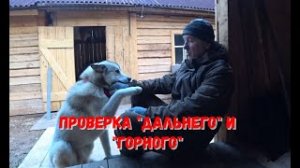 ВТОРОЙ ДЕНЬ ПРОВЕРКИ. ДАЛЬНИЙ И ГОРНЫЙ ПУТИКИ.