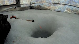 Зимняя рыбалка,Чебак на реке Чулым.