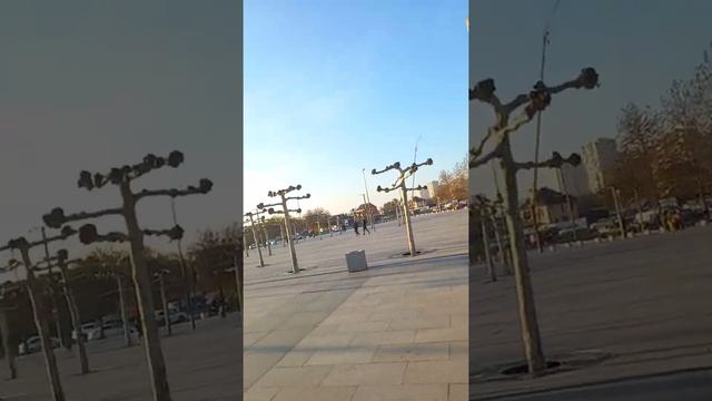 ДЕРЕВЬЯ ПЛАТАНЫ В ПАРКЕ КРАСНАДАР ВСЕ ЗАВЕЗЛИ С ЕВРОПЫ. смотреть онлайн