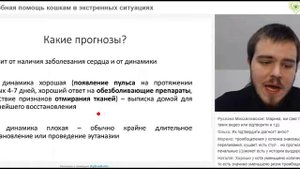 У кота отказали задние конечности.Доврачебная помощь собакам в экстренных ситуациях. Вебинар.