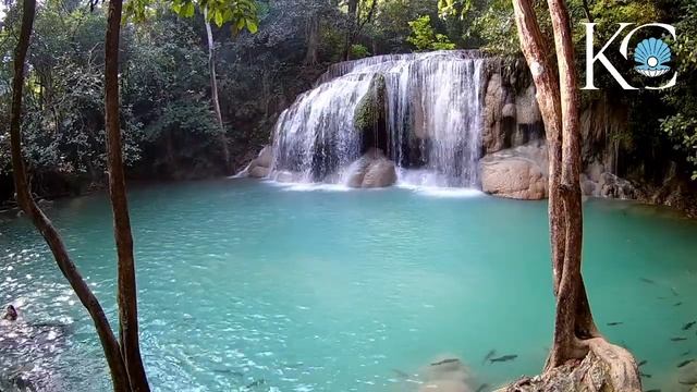 Медитация избавление от тревоги обретение спокойствия и благополучия смотреть онлайн
