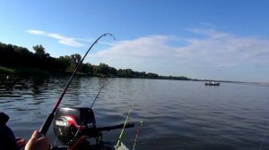 Ловим рыбу на Волге. Рыбалка в Астрахани. Карась и судак. Астраханские трофеи. Сазан на Волге