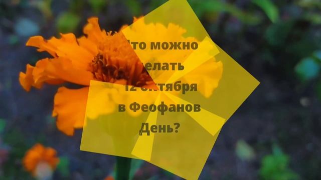 12 октября - День Феофана Милостивого! Что нельзя делать? Народные приметы и традиции праздника.