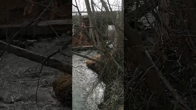 Ловушка.