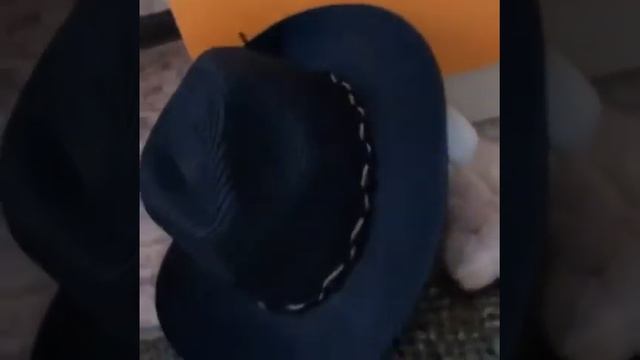 Н.Носов "Живая шляпа" смотреть онлайн