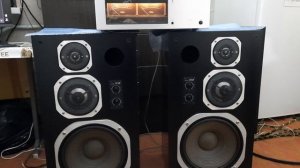 Luxman 5m21 Coral X-VII