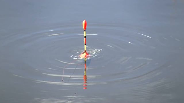 Майские караси Fishing, Russian style! смотреть онлайн