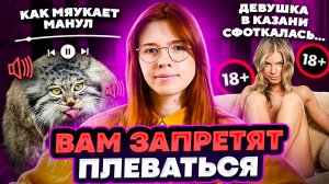 Вам запретят плеваться/В Казани девушка сфоткалась.../Как мяукает манул. Хорошие новости.