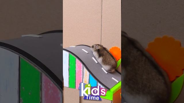 Дали комбо хомяк Дали комбо хомяк