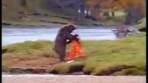 Медведь каратист