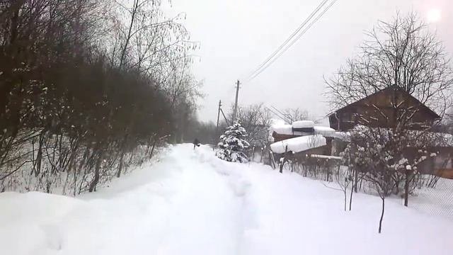 Мотособака (самоделка)