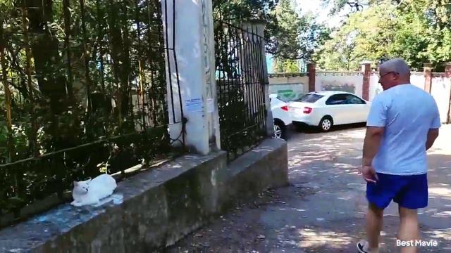 Крым🌴Симеиз🐈лето 2022🌞Кто приехал в Крым?🌊😂 смотреть онлайн