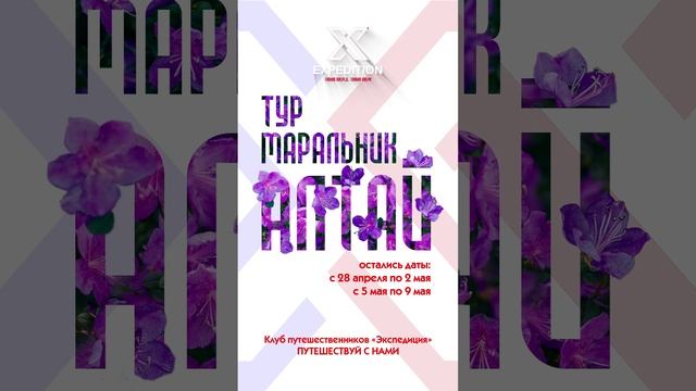 Маральник на Алтае
