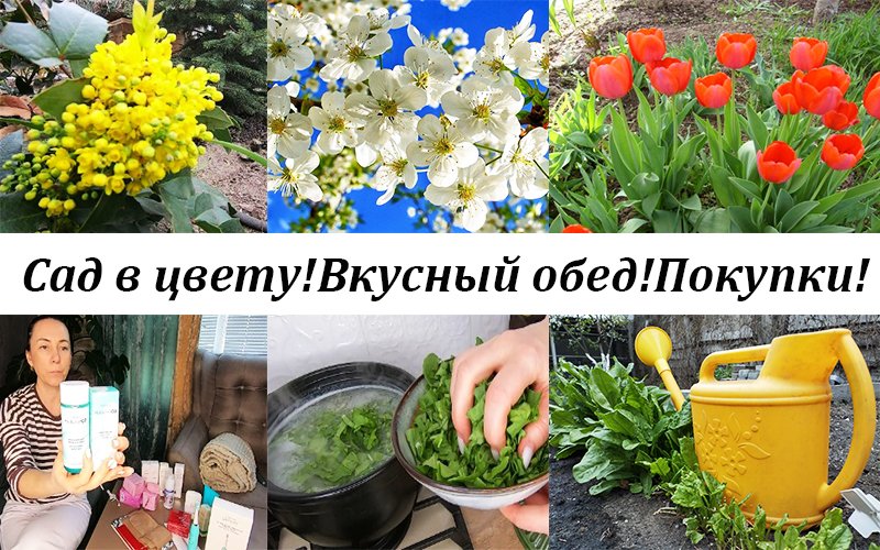 ВЛОГ! Садовые работы! Вкусный обед! Покупки! Уют в доме и в саду! смотреть онлайн