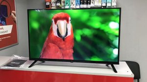 Телевизор Dexp F32G8000C