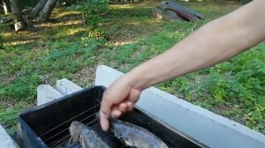 27.07.21.Готовим в шарабане рыбу, окунь-терпуг корячего копчения.