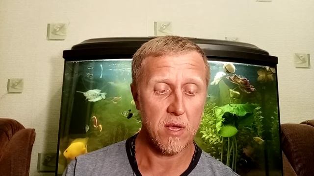 Муми-тролль и комета. Глава 1. смотреть онлайн