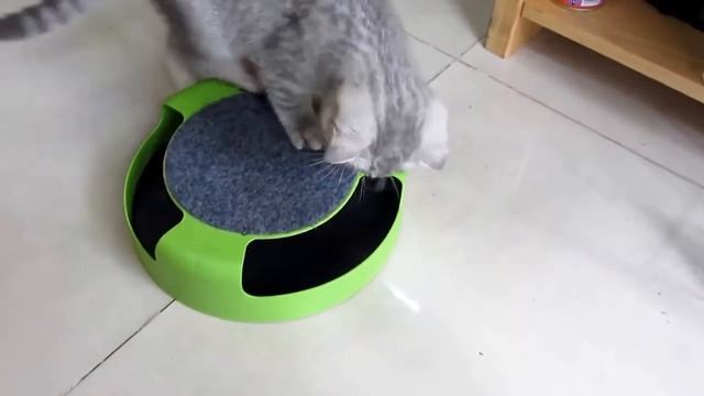 Интерактивная игрушка для кошек Поймай Мышку Catch The Mouse