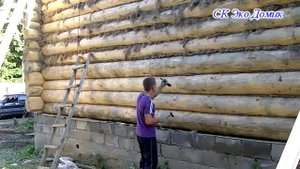 конопатка
