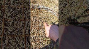 Как поймать зайца, сурка, фазана живым и невредимым.