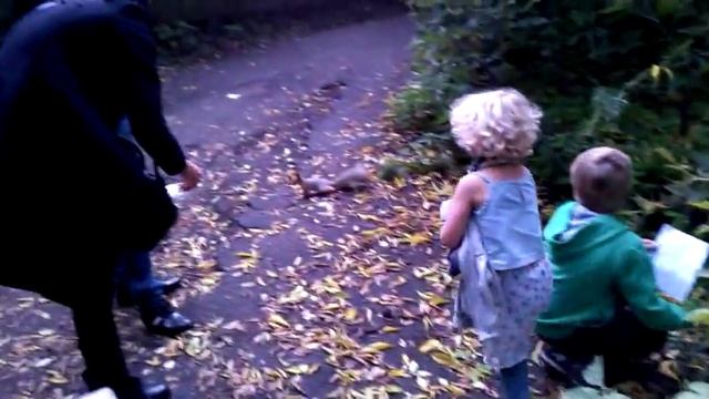 Белки любят орехи смотреть онлайн