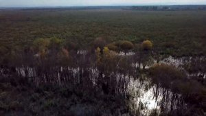 Аул Афисип , устье реки Афипс у Шапсугского водохранилища