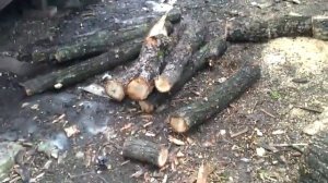 Бензопила. Не идет масло на цепь.