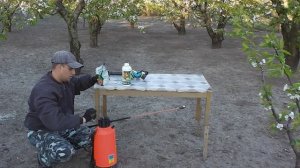 Опрыскивание абрикоса,повторное