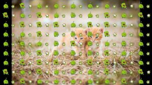 Om Nom & Nibble Nom in 51 second