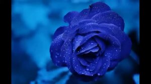 Ошо. Зеркало просветления, озвучивает [Nikosho]