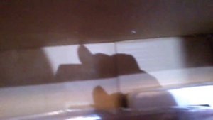 Распаковка и обзор Плазморез Edon EXPERTCUT 60 D 220V